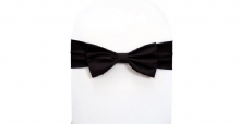 Chair Cover Accessories - Chair Ties